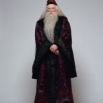 HP1 - Albus Dumbledore